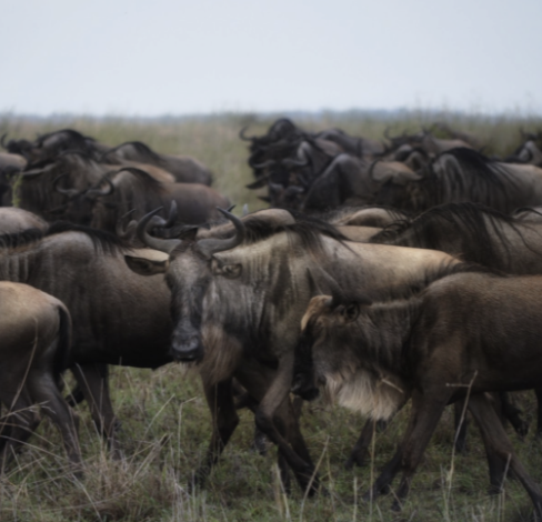 Screenshot 2025-07-23 at 5.12.10 PM